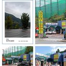 팔도 궁중 찜닭 본점 이미지