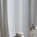 D00065 | 코스트코필수템 센트룸 칼슘+D 미니로 뼈와 근육 건강 챙겨요