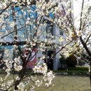 한국 카메라 박물관 이미지