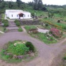 vivere 906 이미지