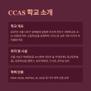 코너스톤서울(Cornerstone Seoul)학원 | 코너스톤 서울 아카데미(Cornerstone Collegiate Academy of Seoul, CCAS) 완벽 가이드