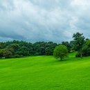 초원의 빛 이미지