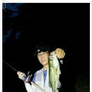 창진사 Daum카페