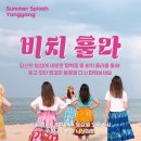 양양서핑학교