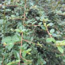 안국역(3) 이미지