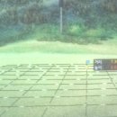 골드스크린골프존 이미지