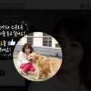 바람아래 이미지