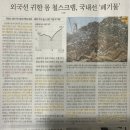(주)씨에스에너지 샛별LPG충전소 | 3월 생각 -일본여행느낀점 -건기식생각 -새로운아이디어찾기 -아버지와나 -미친소리 -KIMES2023