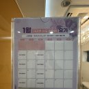 마리본문화원