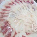 삼천포회수산