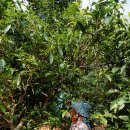 다원화학 이미지