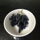 포도기 | [블랙포도] 블랙사파이어 라고 불리는 가지포도 내돈내산 솔직후기