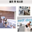 수아하우스 이미지