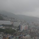 명란브랜드연구소 이미지