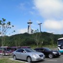 (주)알펜시아 Daum카페