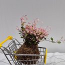 윤희공방 이미지