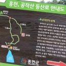 공작산 휴양림 펜션 이미지