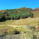 김진호농장 이미지