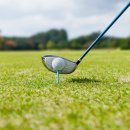 엘리트핏24 골프 이미지