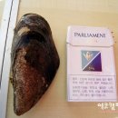 우미본가2호점 이미지