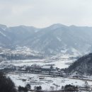 장수 번암막걸리 이미지