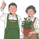 고창시니어클럽(청춘점방) | 노인일자리 신청 안내, 고창시니어클럽 자격·모집 기간 등 총정리 (25.11.28~12.12)
