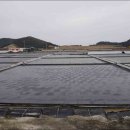 함평주포해수찜 이미지