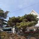 엄청난해장국 | [홍성 용봉산 해장국집] ‘엄청난해장국’ / 내돈내산 / 솔직후기