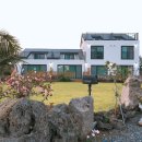 협재블리스 | Story 4. 제주도 서쪽 숙소, 너무 좋았던 협재 블리스