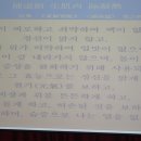 백초당한의원 Daum카페