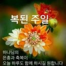 안식일과 주일은 같은 뜻입니다. 이미지