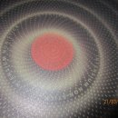 테팔브라운 이미지