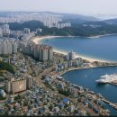 두호동 두무치 이미지