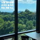 오션네트웍스(주)동백지점 | 코리아조경공사/카페토은/새별레져ATV/협재해수욕장/미영이네/서귀포매일올레시장/오션뷰제주게스트하우스]