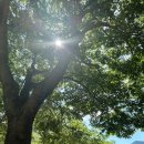 별빛그린하우스 | 청도 그린하우스 캠핑장 후기 : 아이와 함께한 힐링 캠핑