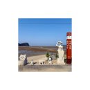 서천-13 | [국내여행/서천여행] 아기와 다녀온 선도리갯벌체험장 조개캐기 체험 후기