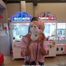 VAMS 이미지