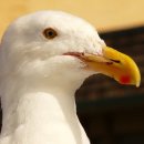 메리츠화재빌딩 이미지