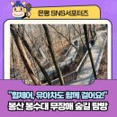 봉산 수국사 공중화장실 | [은평 SNS 서포터즈] "휠체어로도, 유모차로도 함께 걸어요!"봉산 봉수대 무장애 숲길 탐방