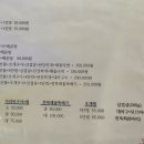 삼척해변별난조개 이미지