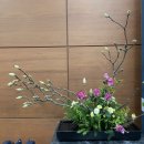 동양꽃꽂이 이미지