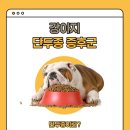 구미옥계동물병원 | 구미옥계동물병원 강아지 단두종 증후군