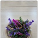 오륙도경로당 | 기억숲 원예 수업 - 계피 소쿠리 만들기