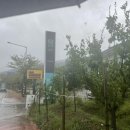 포레스트 173 이미지