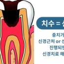 도원장 이미지