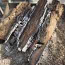 정자네 펜션 이미지