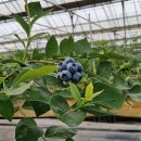 김정숙농장 이미지