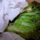 신용순농장 이미지