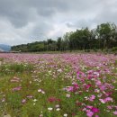 연양체육공원 이미지