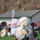 용호레포츠 | 2026 제 27회 양평 고로쇠축제 1일차 방문후기